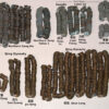 Real Treasure Chest with Real Treasure - Image 5