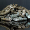 Real Treasure Chest with Real Treasure - Image 4