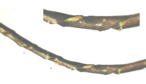 Metal wound Zari thread 